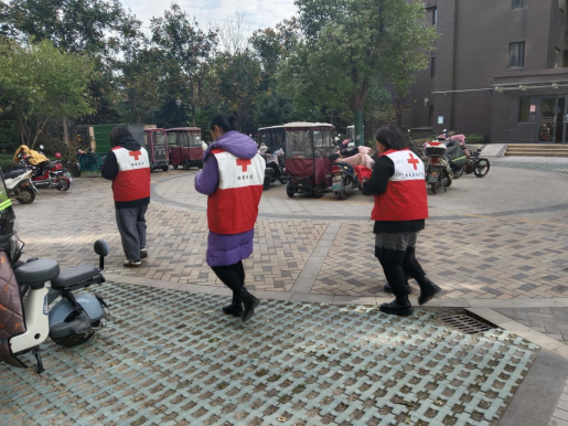云龙区汉风街道红十字会开展困难家庭走访活动348.png